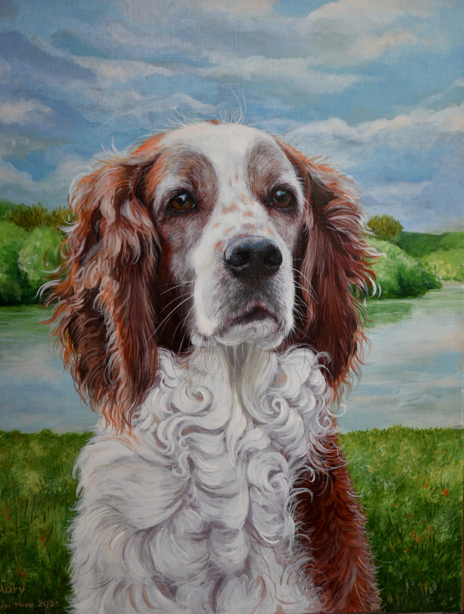 Hundeportrait "Mary" Welsh Springer Spaniel